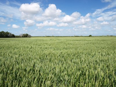 Vastgoedafbeelding