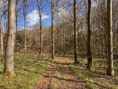 Vastgoedafbeelding