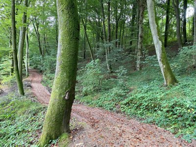 Vastgoedafbeelding