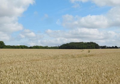 Immobilienbild