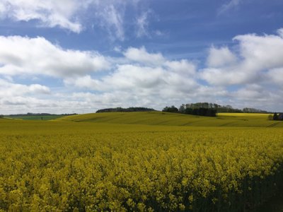 Vastgoedafbeelding