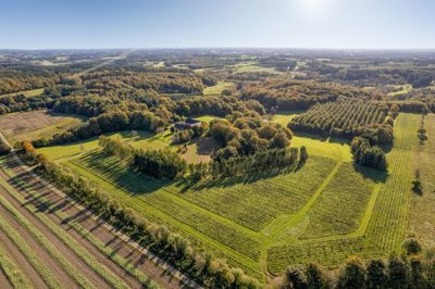 Vastgoedafbeelding