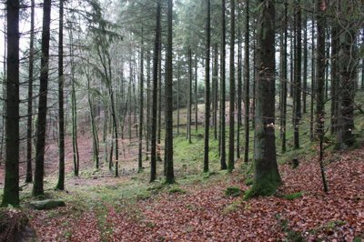Vastgoedafbeelding