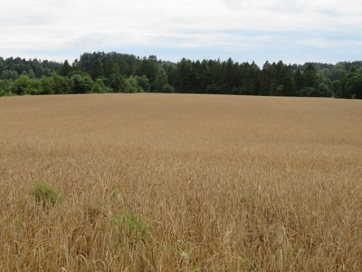 Immobilienbild