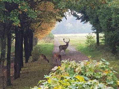 Eigendomsfoto