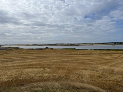 Høstet gyldent mark med udsigt over en bred sø eller vig og åbent landskab under en skyet himmel.