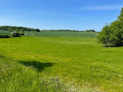 Open rolling grassland under a blue sky, with tree groups on the horizon and a cluster of leafy trees on the right.