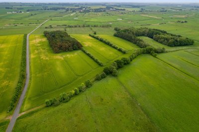 Luftfoto af flade grønne marker med småskove, trægrupper og en smal vej gennem det åbne landskab.